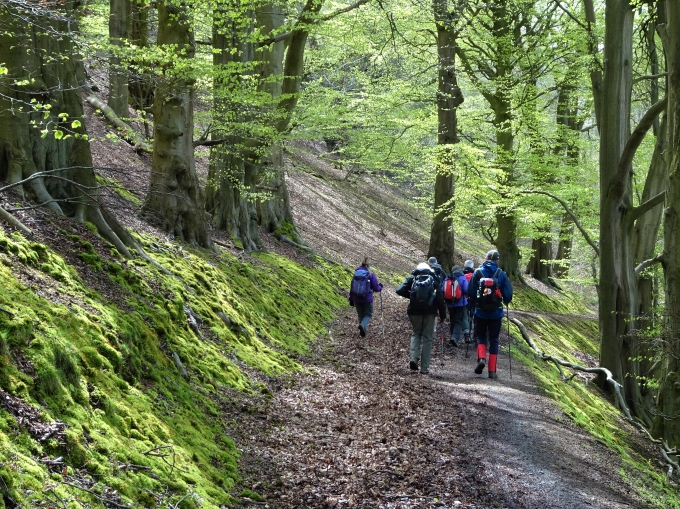 On the north side of The Wrekin